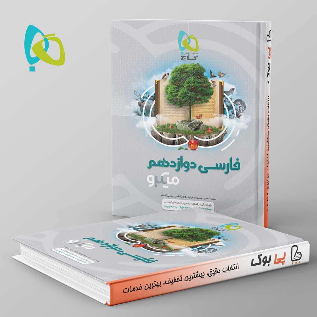 میکرو نهایی فارسی دوازدهم گاج