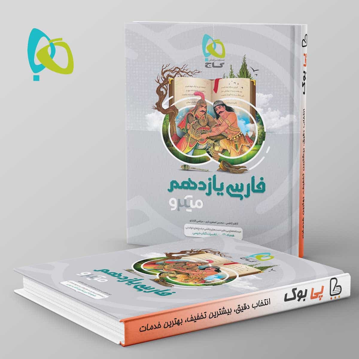 ادبیات فارسی یازدهم میکرو گاج