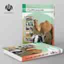 name https://cdn.pbook.shop/api-media/files/2024/06/cd7481e7-2289-446d-a691-da542fab5153/کتاب-درسی-تولید-و-پرورش-دام-های-سبکبز_qaTAJQO.jpg