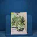 name https://cdn.pbook.shop/api-media/files/2025/11/abf75ccd-6723-47aa-9abc-711d5dfd3d3a/17791.jpg